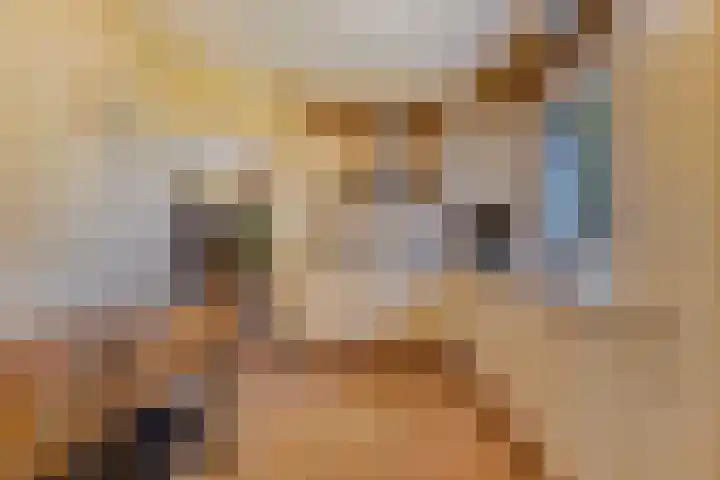 Groeneveld 1 B De Lier thumbnail 18