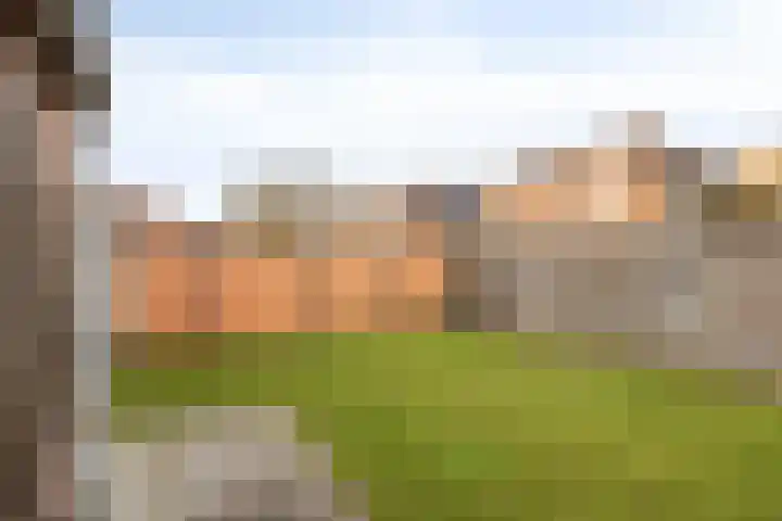 Groeneveld 1 B De Lier thumbnail 20