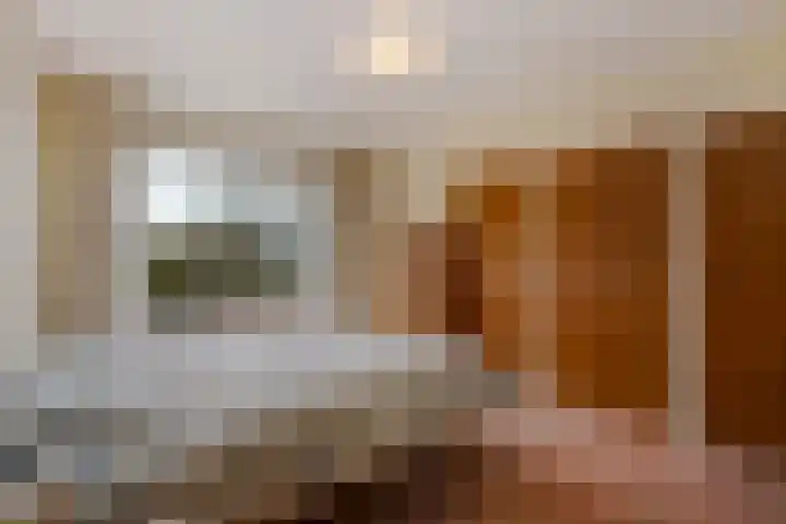 Groeneveld 1 B De Lier thumbnail 21