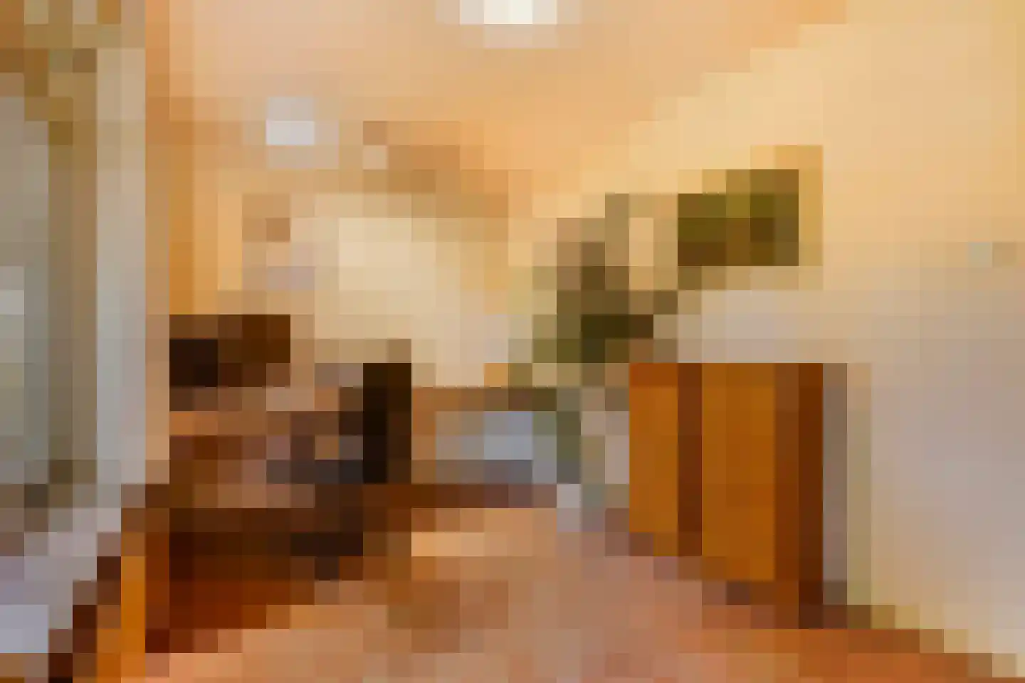 Groeneveld 1 B De Lier thumbnail 23
