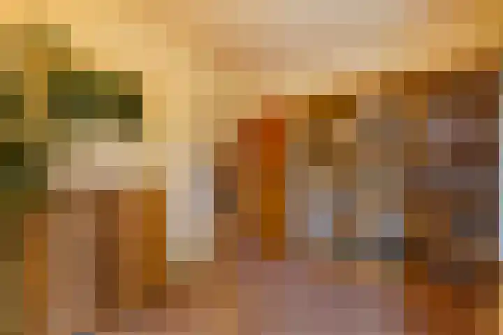 Groeneveld 1 B De Lier thumbnail 24