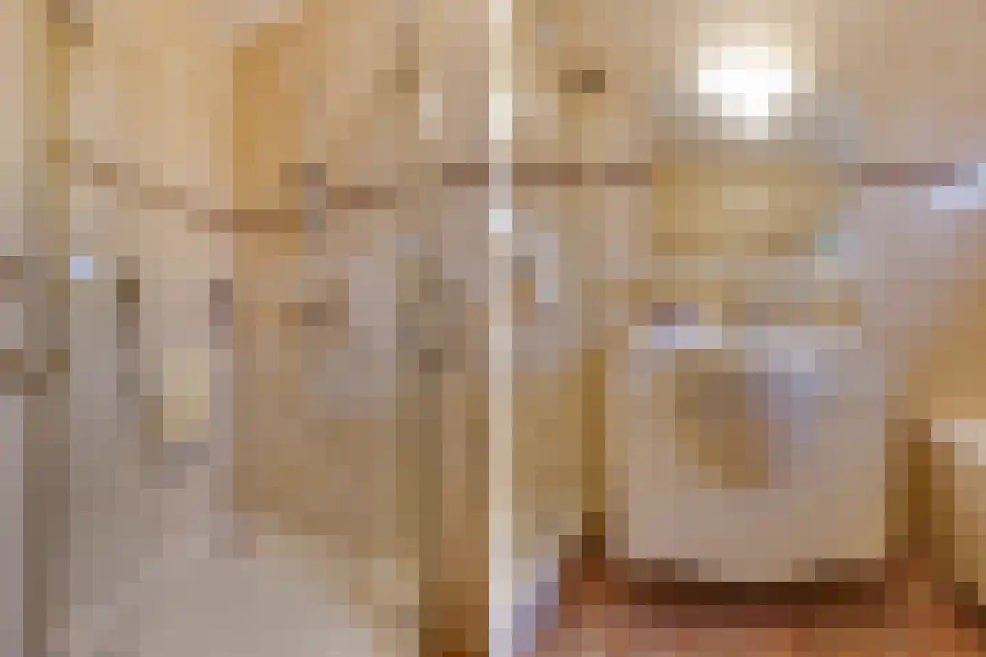 Groeneveld 1 B De Lier thumbnail 26