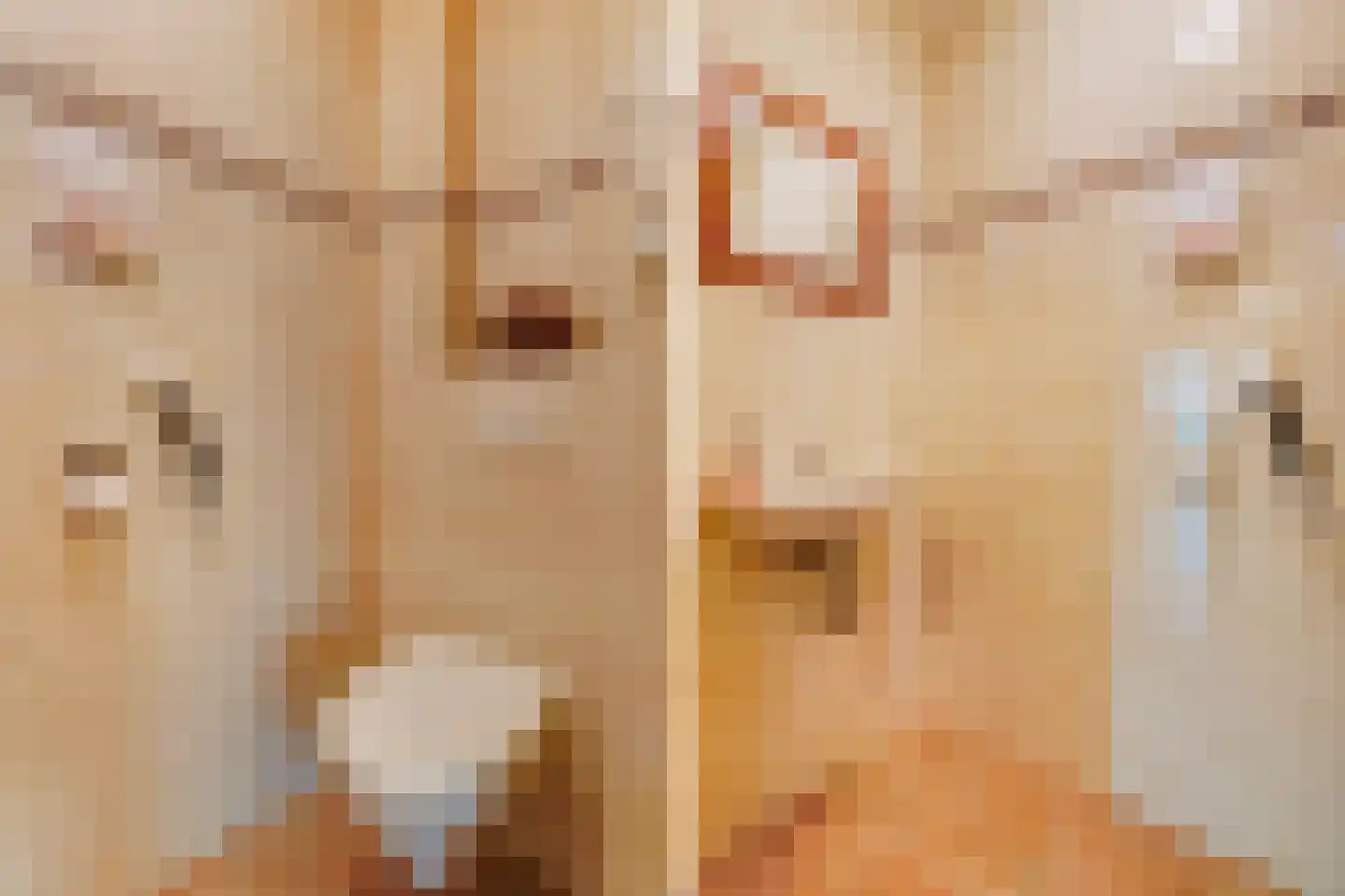 Groeneveld 1 B De Lier thumbnail 28