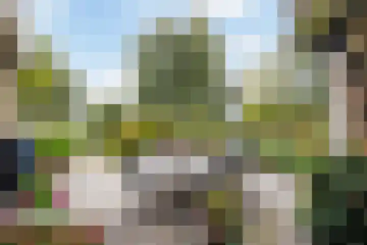 Groeneveld 1 B De Lier thumbnail 30
