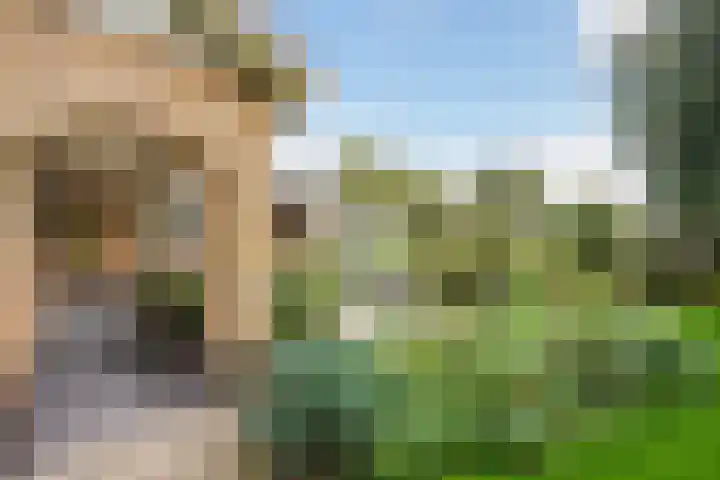 Groeneveld 1 B De Lier thumbnail 31