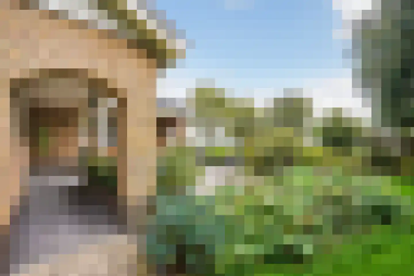 Groeneveld 1 B De Lier thumbnail 31