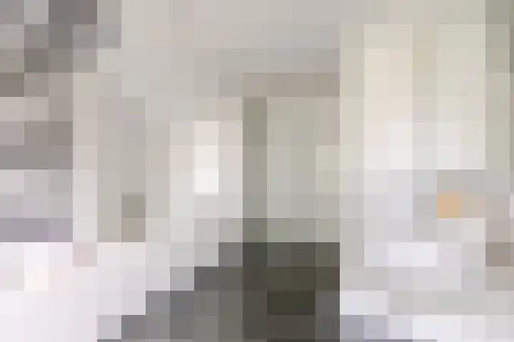 Groeneveld 1 B De Lier thumbnail 32