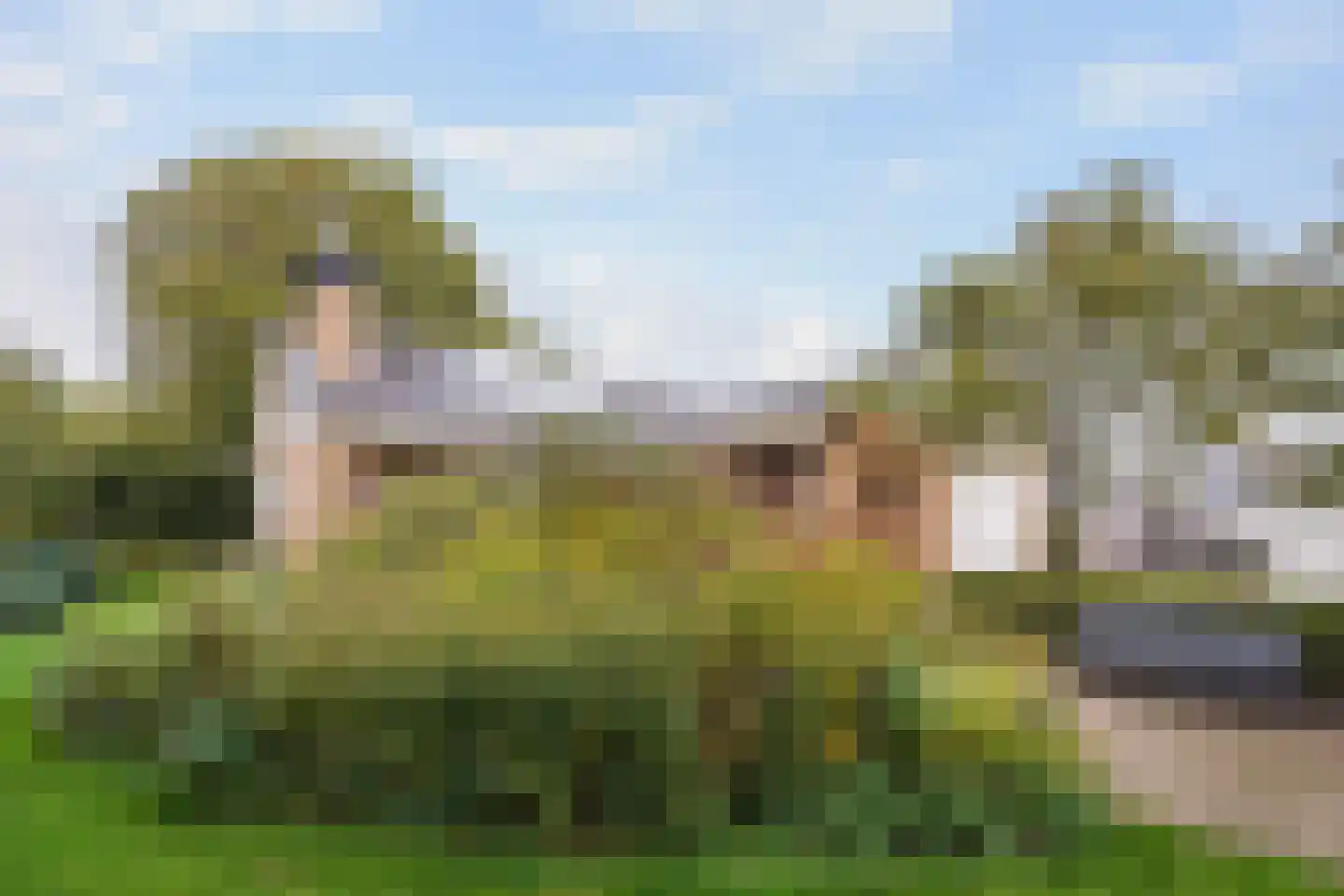 Groeneveld 1 B De Lier thumbnail 32