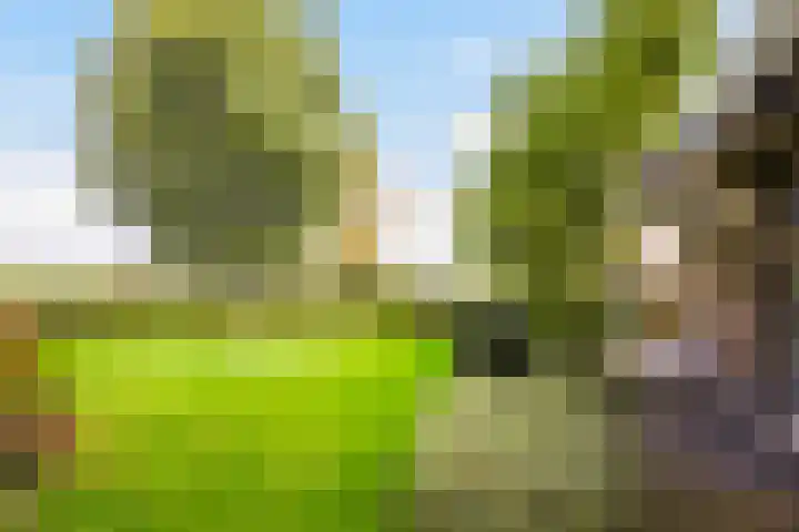 Groeneveld 1 B De Lier thumbnail 34