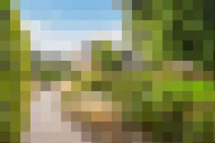Groeneveld 1 B De Lier thumbnail 36