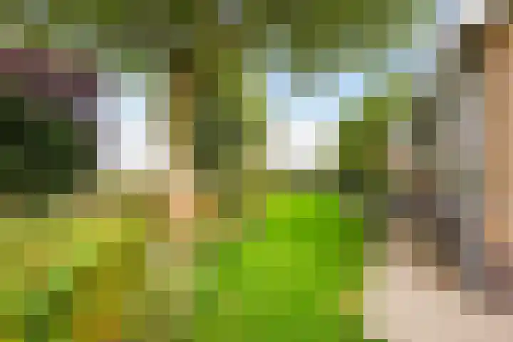 Groeneveld 1 B De Lier thumbnail 37
