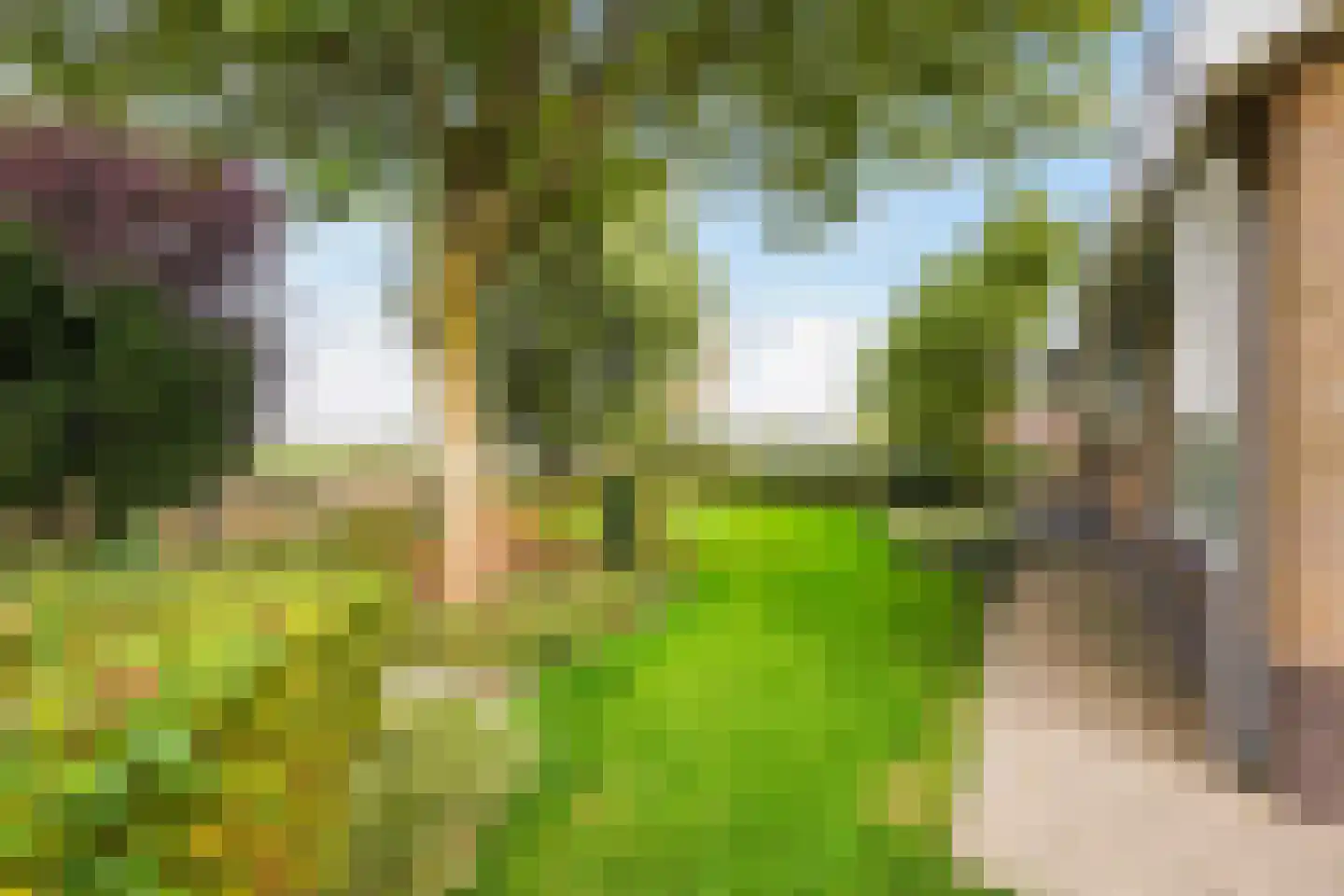 Groeneveld 1 B De Lier thumbnail 37