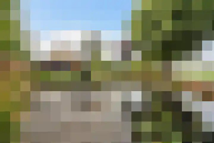 Groeneveld 1 B De Lier thumbnail 39