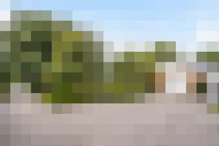 Groeneveld 1 B De Lier thumbnail 4
