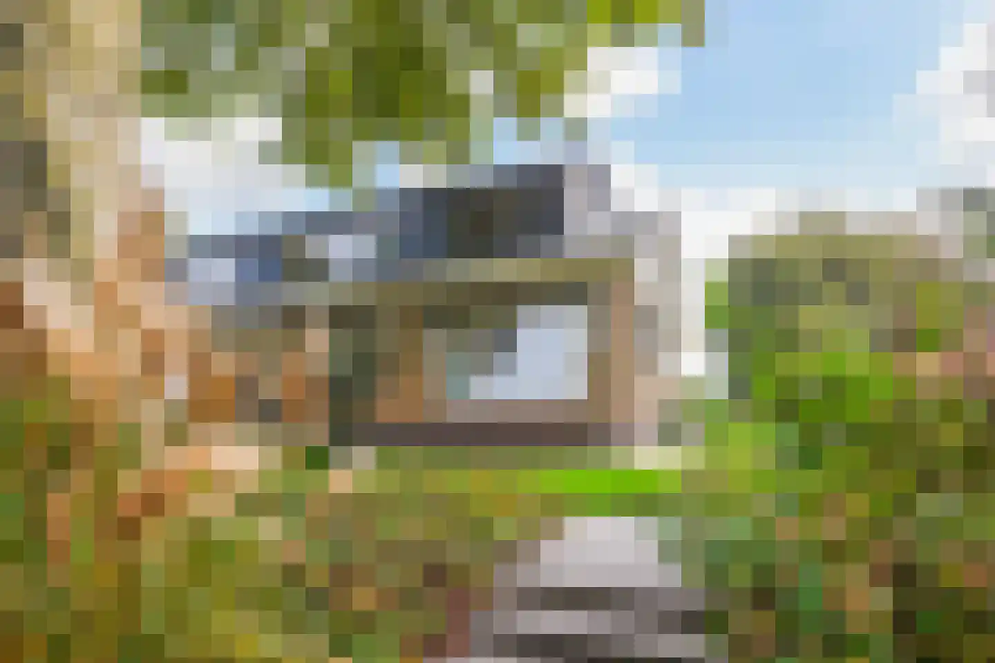 Groeneveld 1 B De Lier thumbnail 41