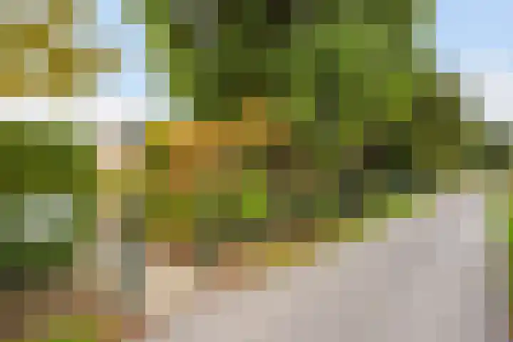 Groeneveld 1 B De Lier thumbnail 42