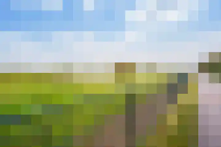 Groeneveld 1 B De Lier thumbnail 43