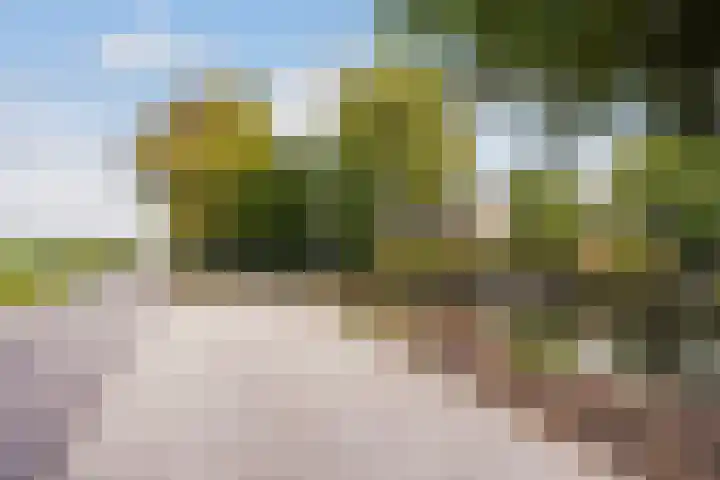 Groeneveld 1 B De Lier thumbnail 44