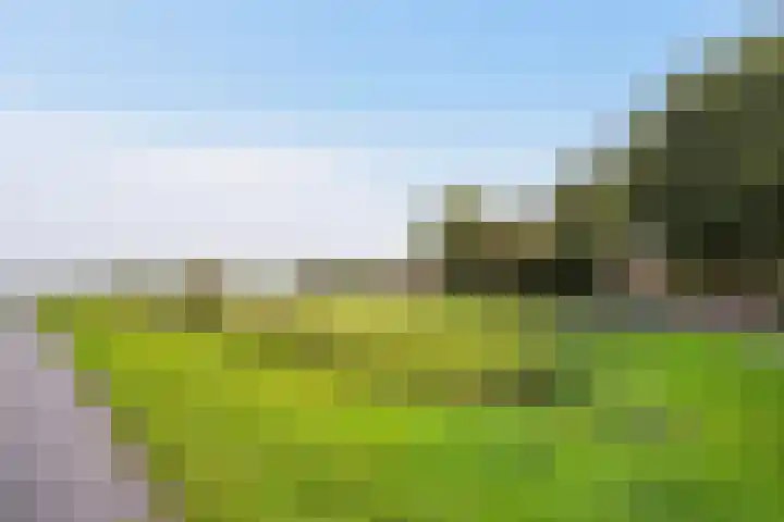 Groeneveld 1 B De Lier thumbnail 45
