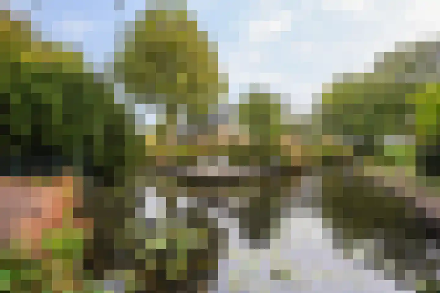 Groeneveld 1 B De Lier thumbnail 46
