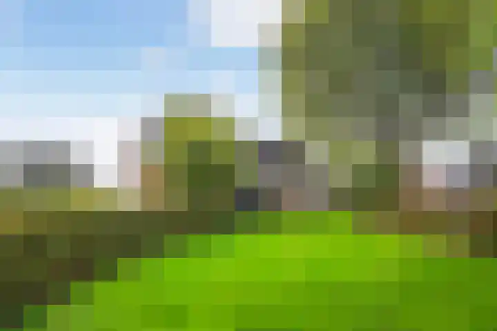 Groeneveld 1 B De Lier thumbnail 48