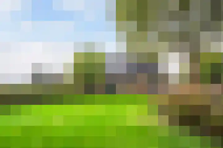 Groeneveld 1 B De Lier thumbnail 49