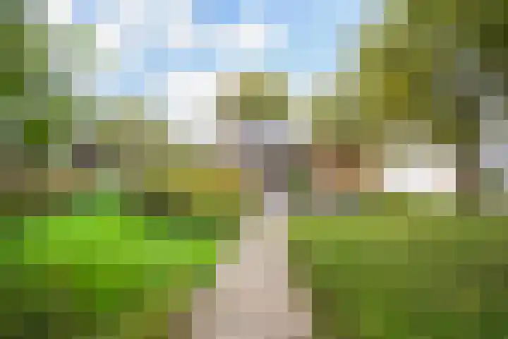 Groeneveld 1 B De Lier thumbnail 5