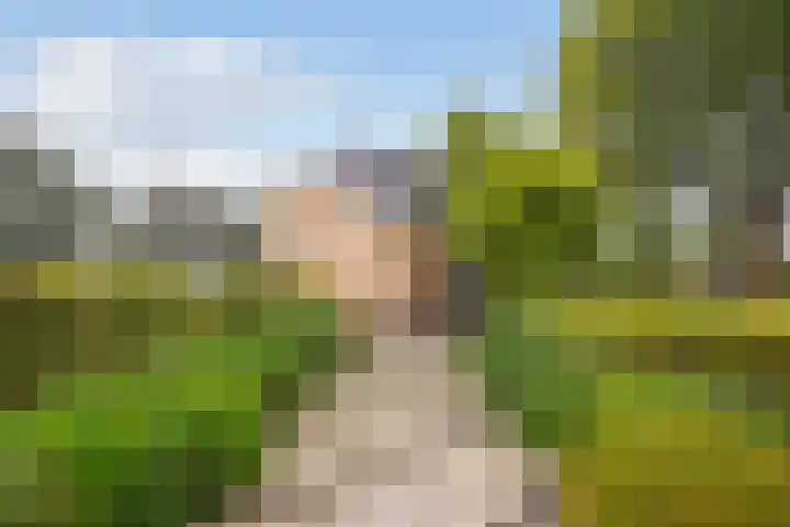 Groeneveld 1 B De Lier thumbnail 50