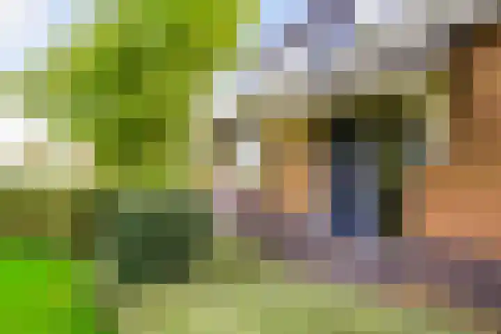 Groeneveld 1 B De Lier thumbnail 52