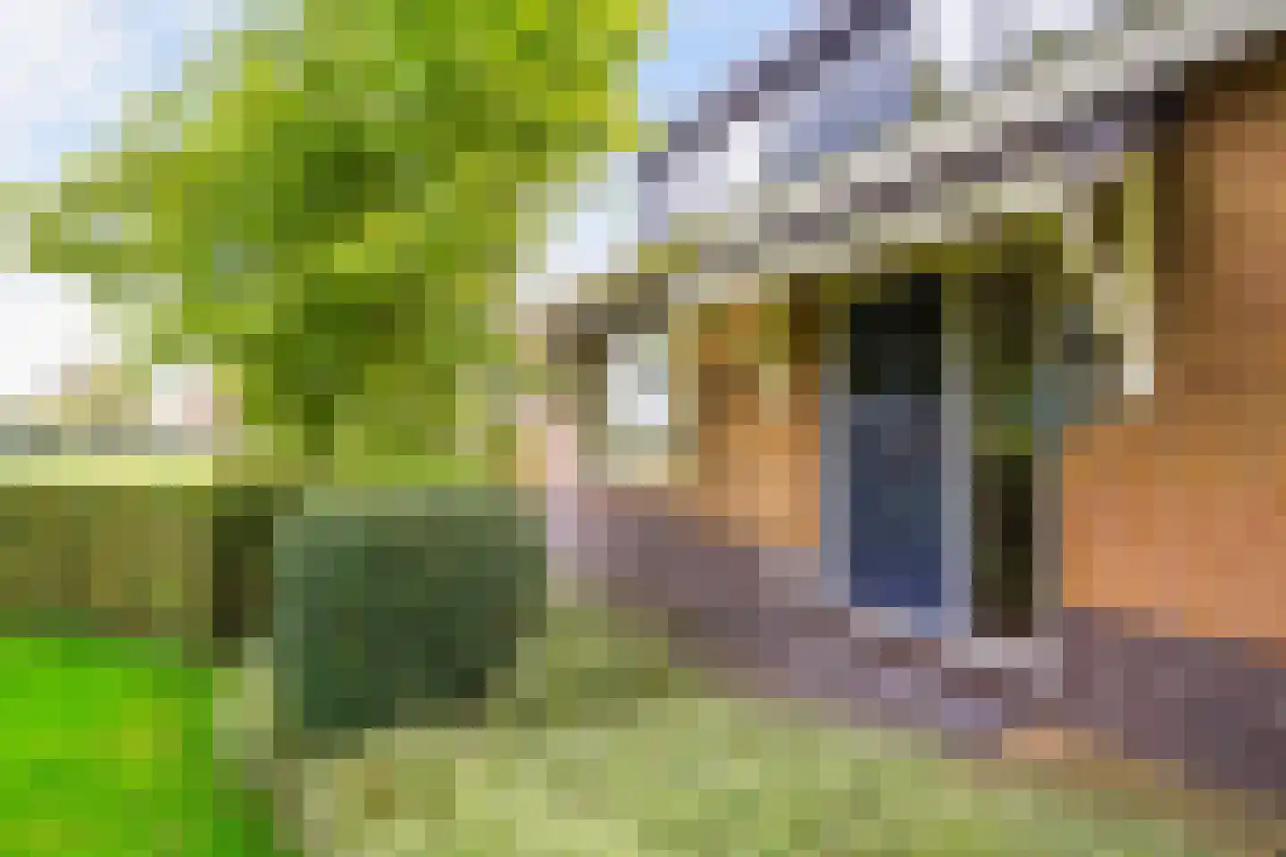Groeneveld 1 B De Lier thumbnail 52