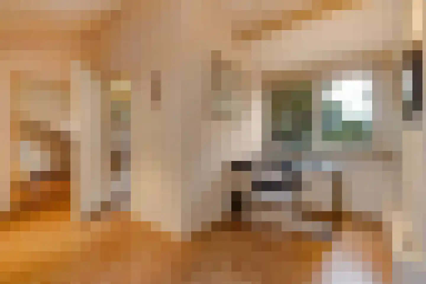 Groeneveld 1 B De Lier thumbnail 54