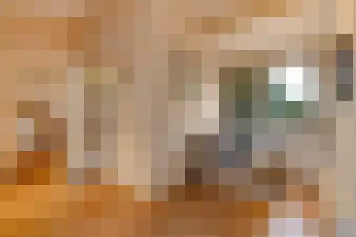 Groeneveld 1 B De Lier thumbnail 54
