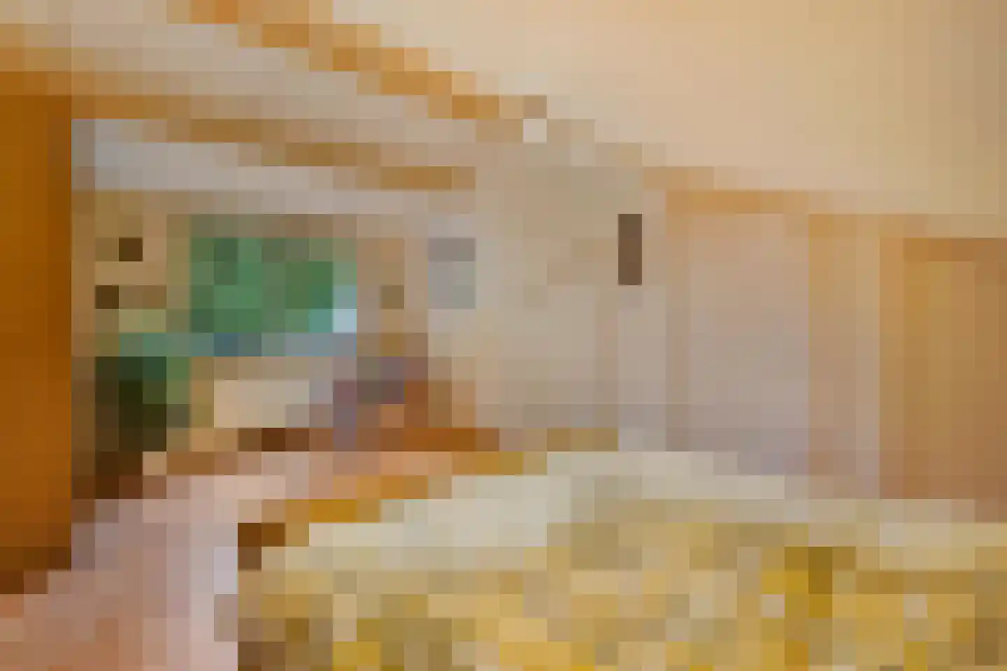 Groeneveld 1 B De Lier thumbnail 59
