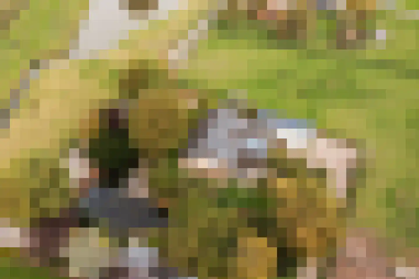 Groeneveld 1 B De Lier thumbnail 69