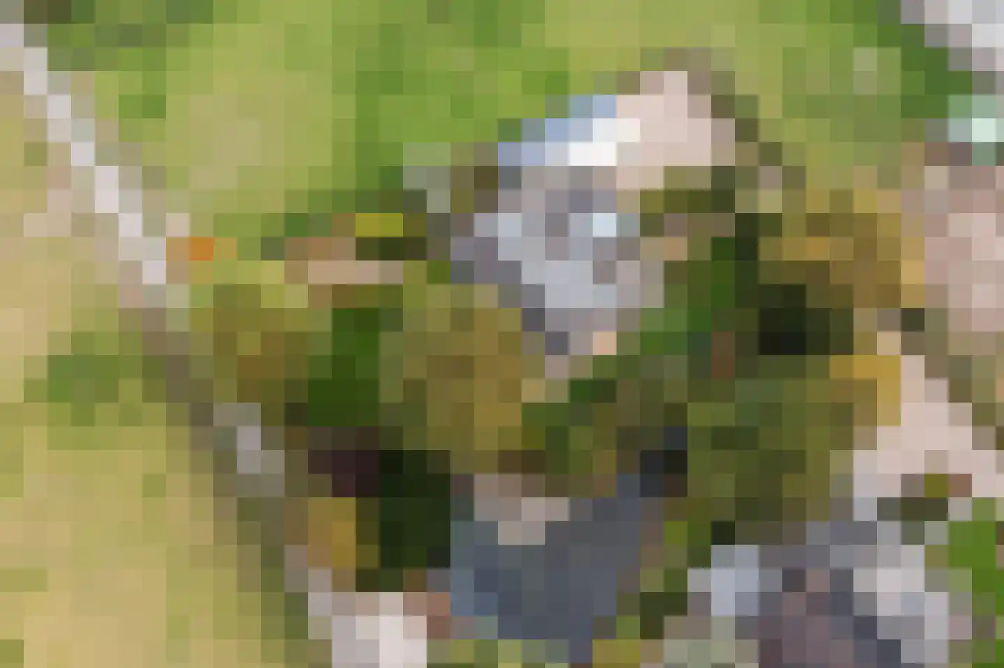 Groeneveld 1 B De Lier thumbnail 70