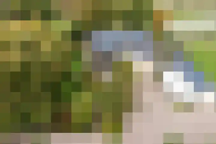 Groeneveld 1 B De Lier thumbnail 71