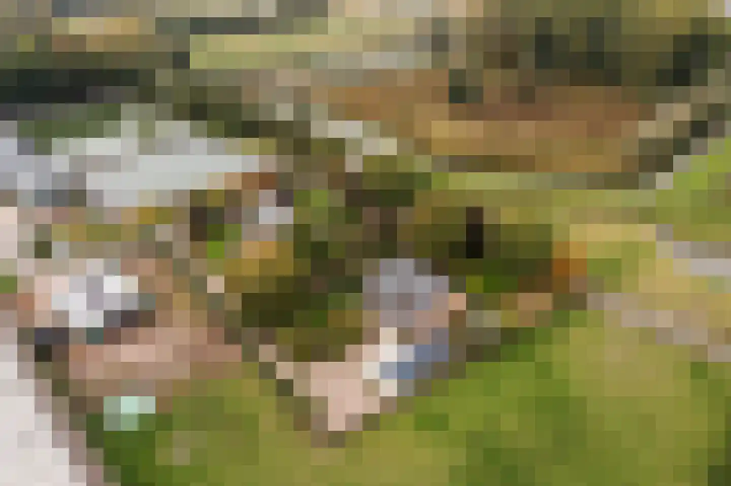 Groeneveld 1 B De Lier thumbnail 74
