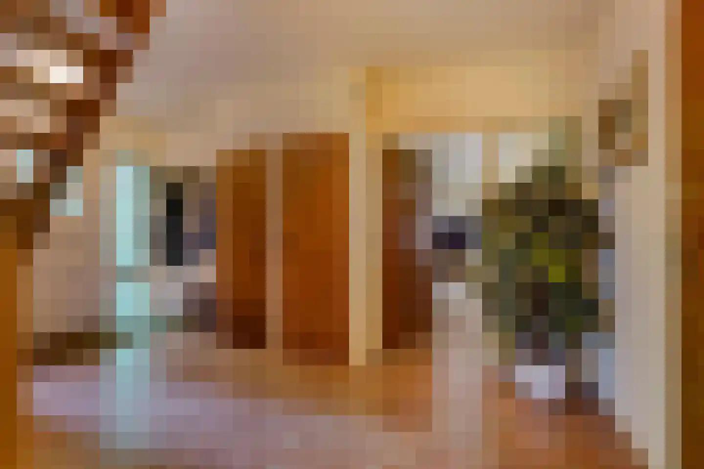 Groeneveld 1 B De Lier thumbnail 8