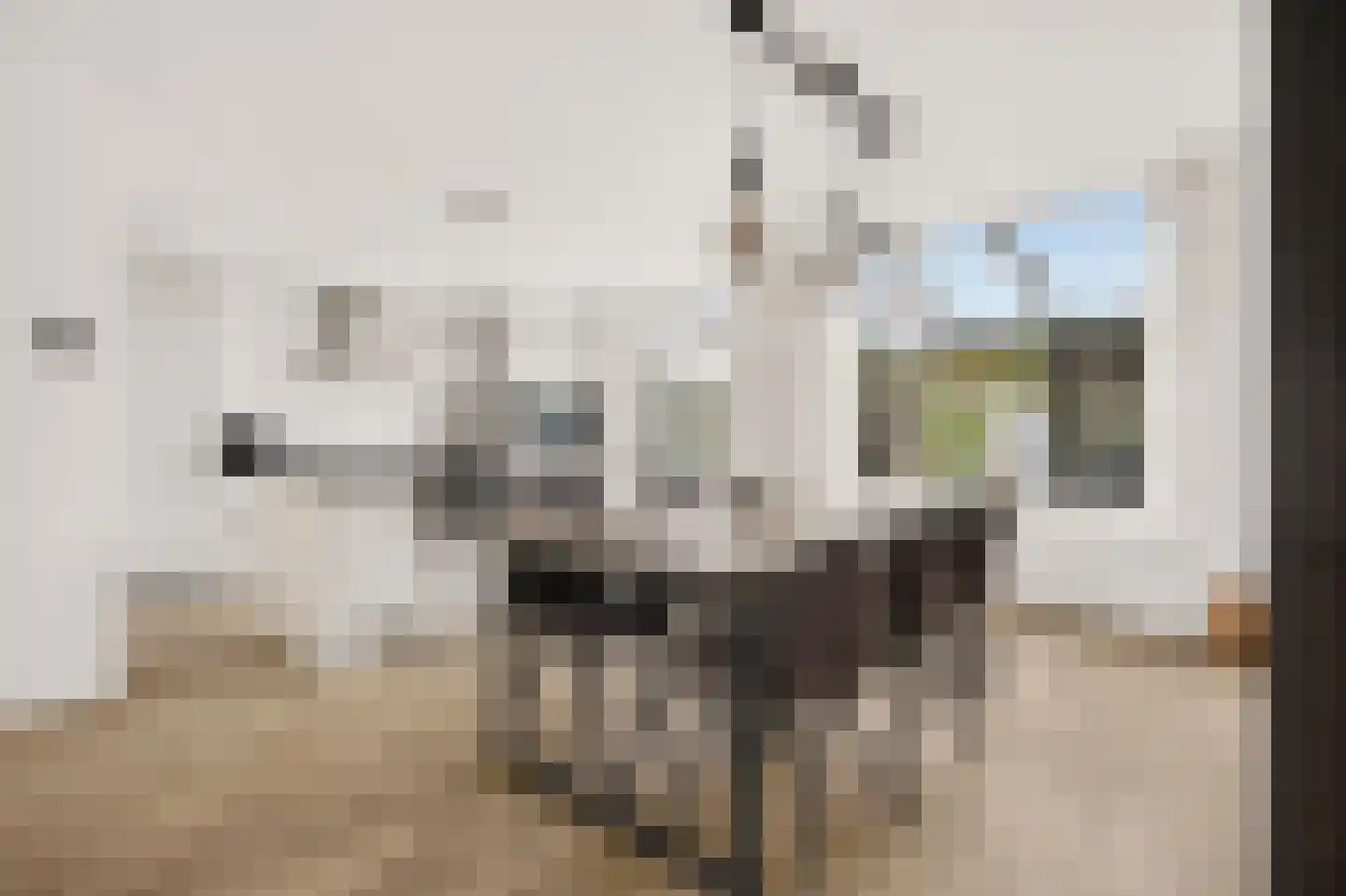 Groeneveld 11 Eindhoven thumbnail 14