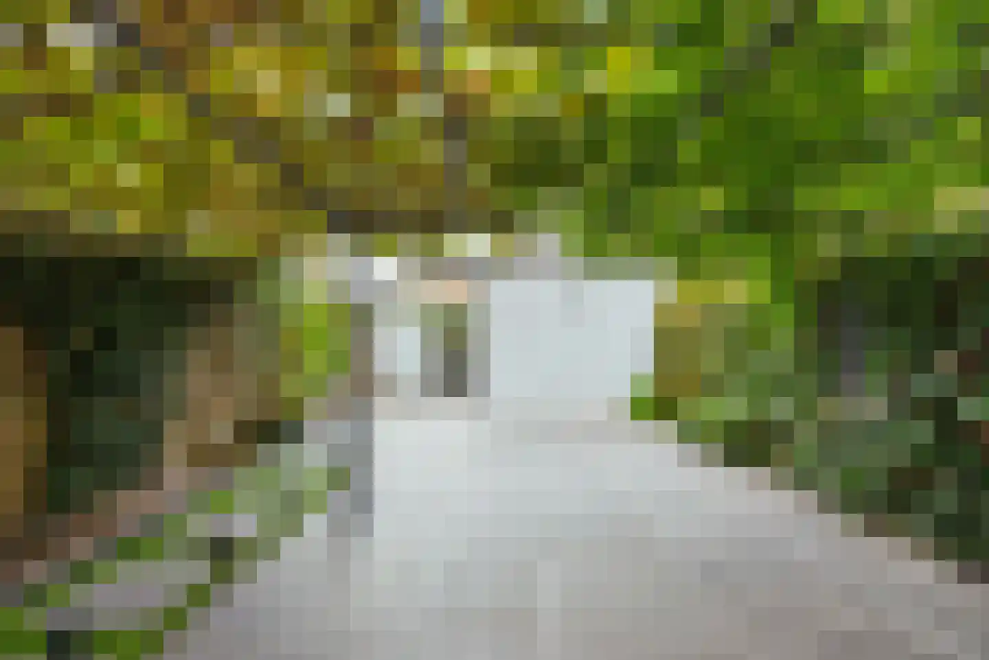 Groeneveld 11 Eindhoven thumbnail 19