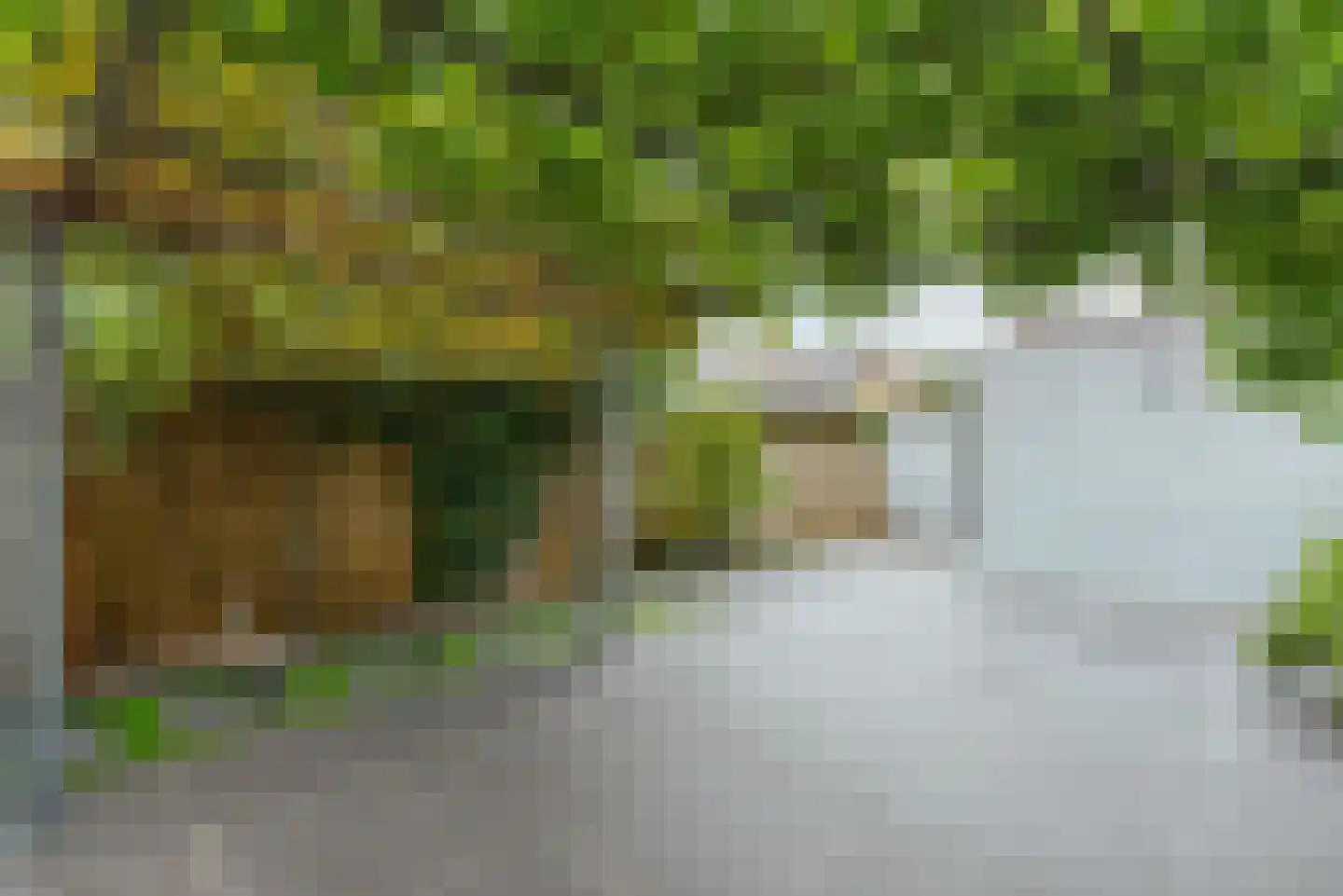 Groeneveld 11 Eindhoven thumbnail 20