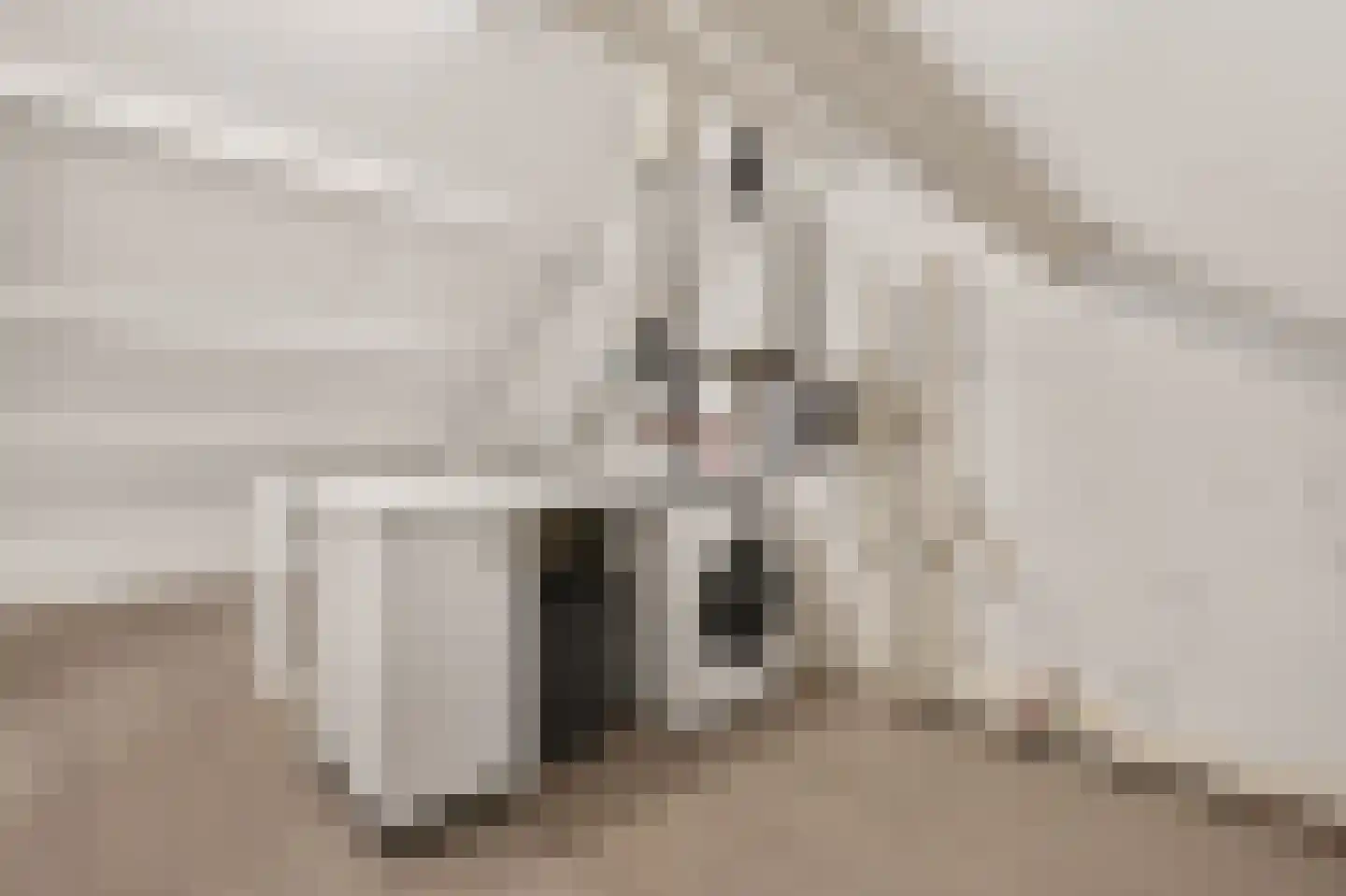 Groeneveld 11 Eindhoven thumbnail 36