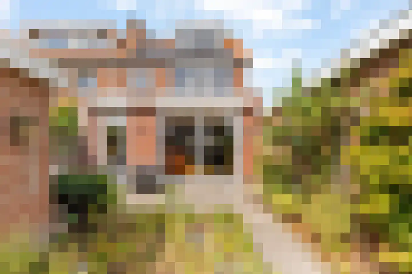 Groeneveld 16 Noordwijk thumbnail 11