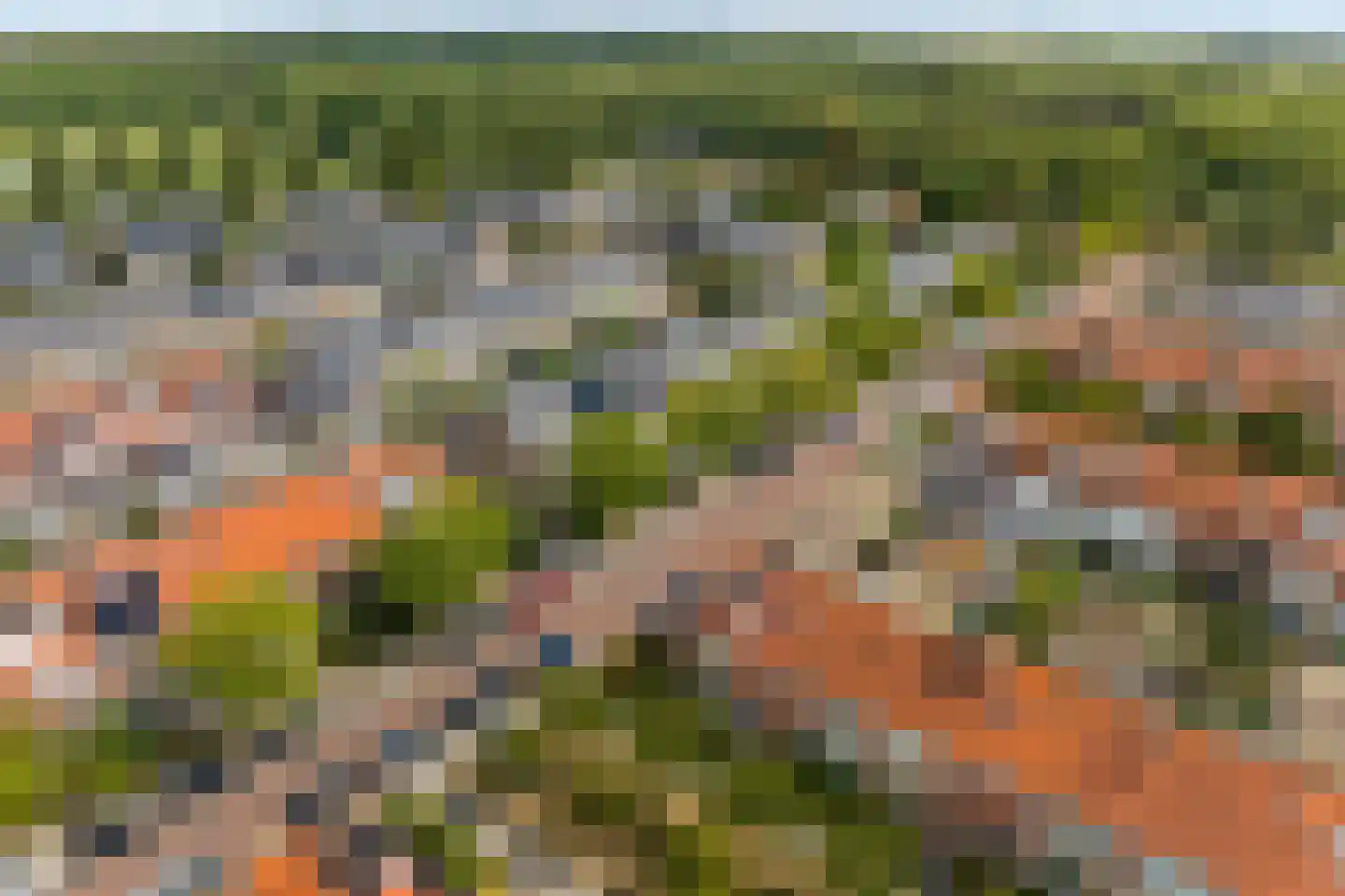 Groeneveld 16 Noordwijk thumbnail 37