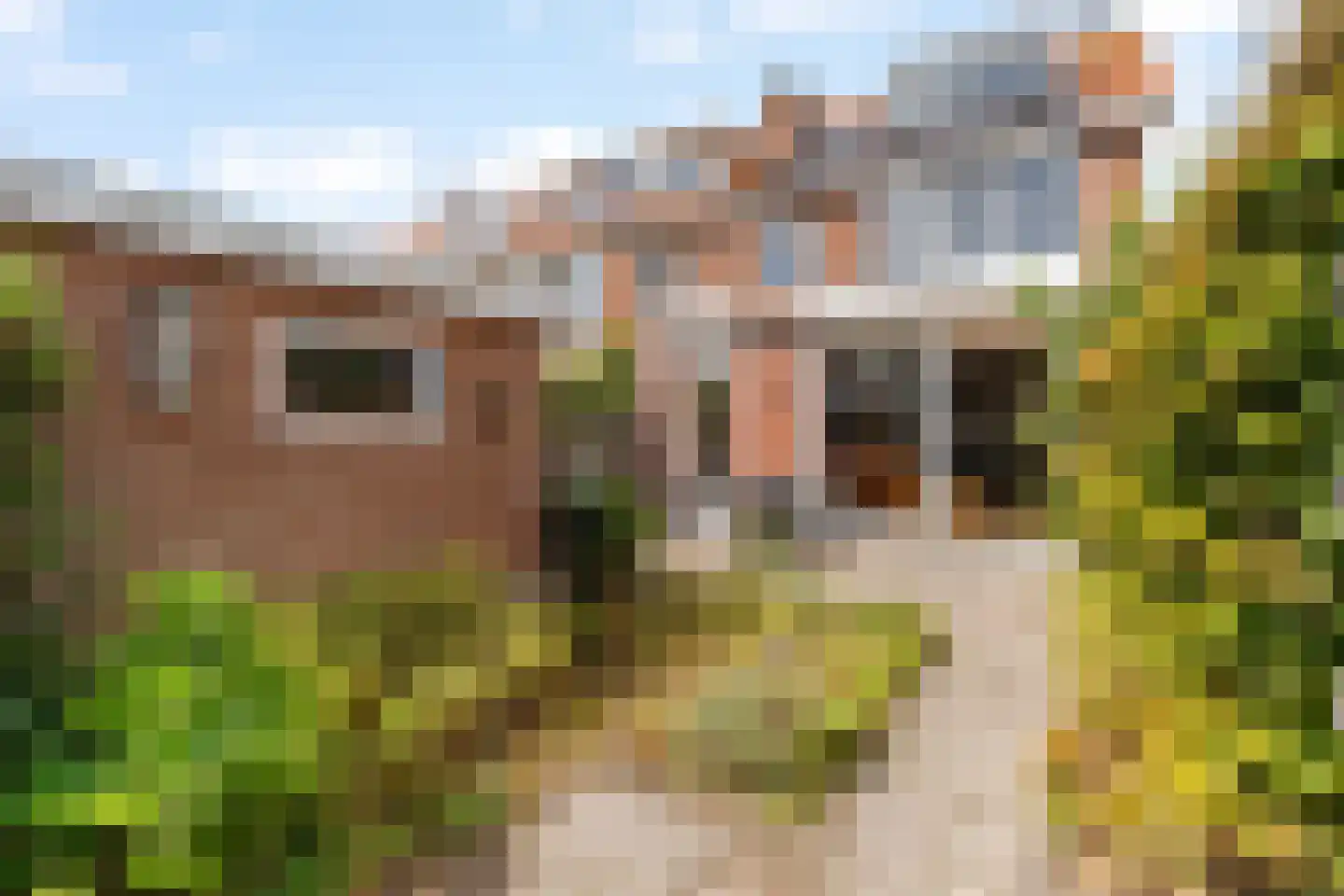 Groeneveld 16 Noordwijk thumbnail 9