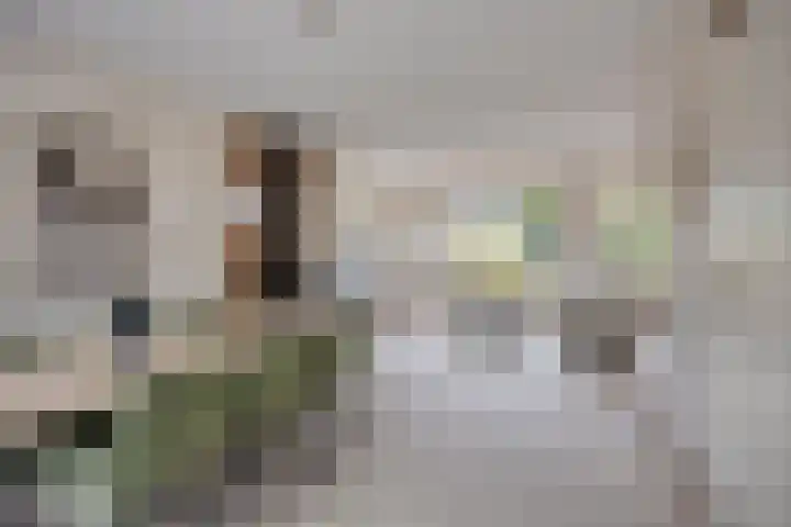 Groeneveld 28 Eindhoven thumbnail 13