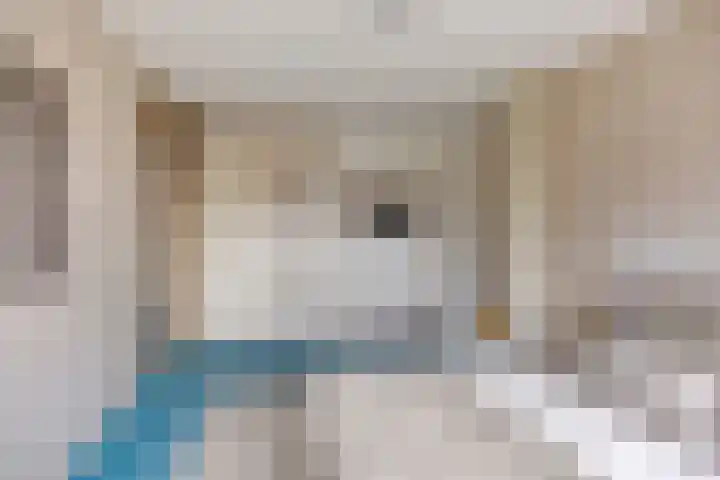 Groeneveld 28 Eindhoven thumbnail 20