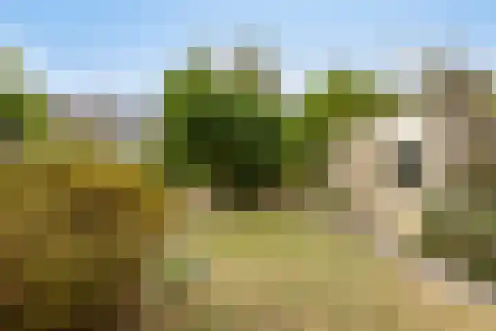 Groeneveld 28 Eindhoven thumbnail 29