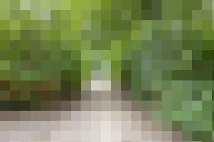 Groeneveld 28 Eindhoven thumbnail 30