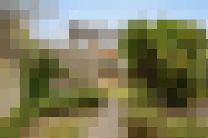 Groeneveld 28 Eindhoven thumbnail 5